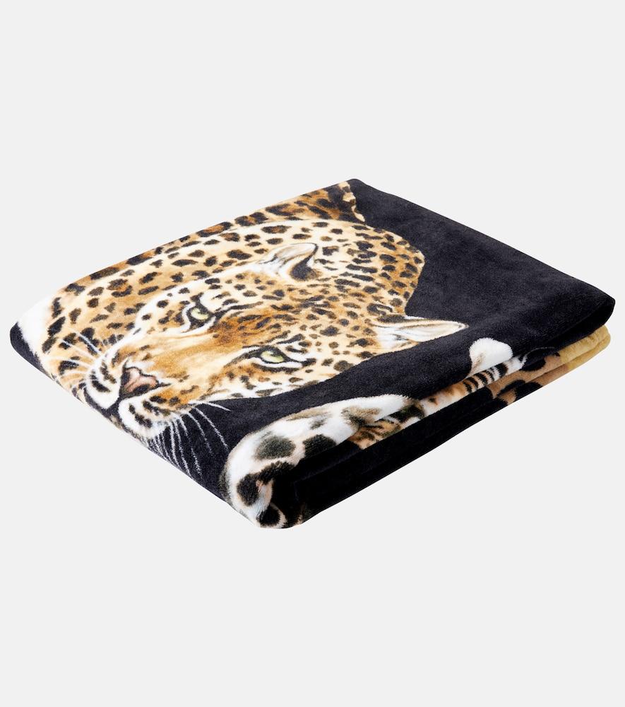 dolce & gabbana casa leopardo cotton beach towel