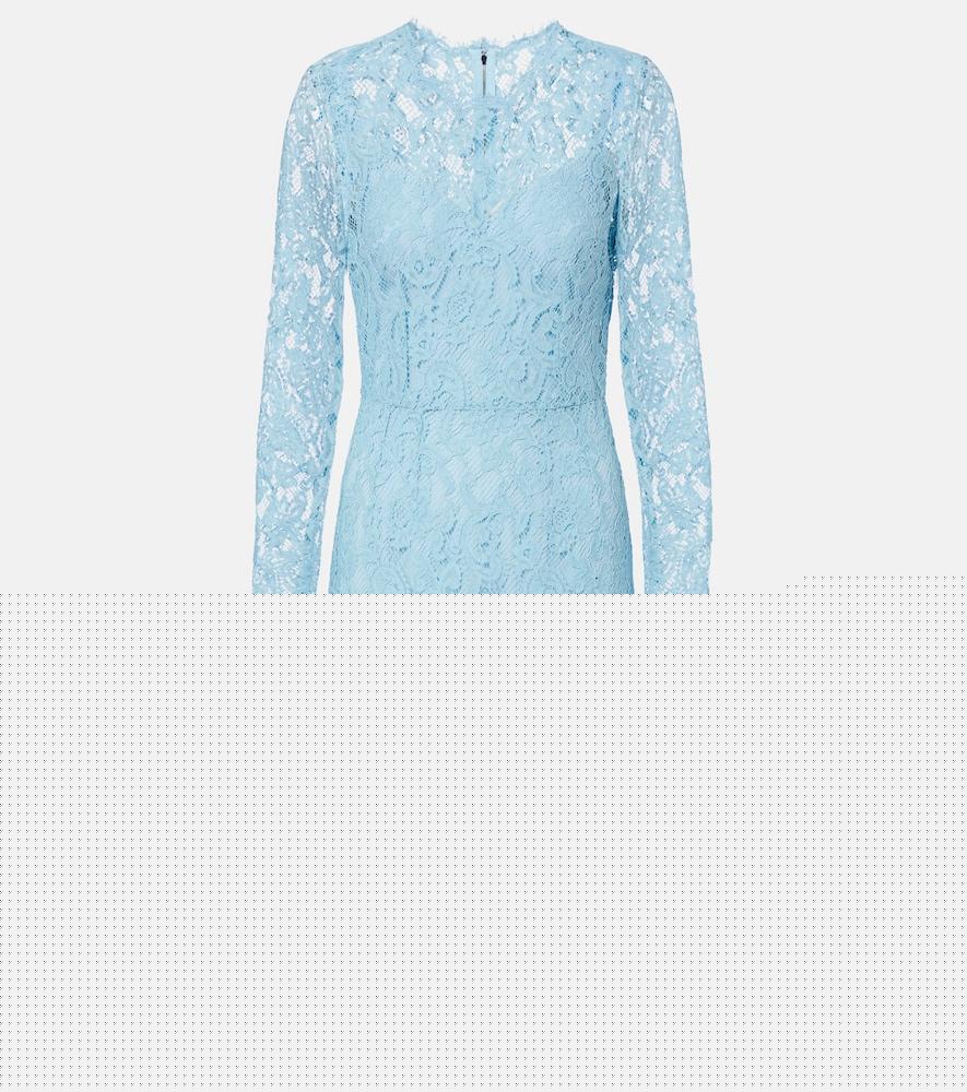 dolce & gabbana cotton-blend lace cocktail dress