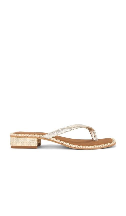 dolce vita barty sandal in metallic gold. - size 6 (also in 6.5, 7)