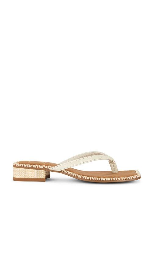 dolce vita barty thong sandal in white. - size 10 (also in 6.5, 7.5, 8, 8.5, 9.5)