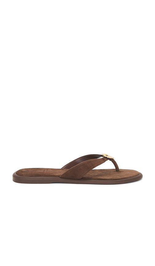 dolce vita jaina sandal in brown. - size 10 (also in 6, 7, 7.5, 8, 8.5, 9)