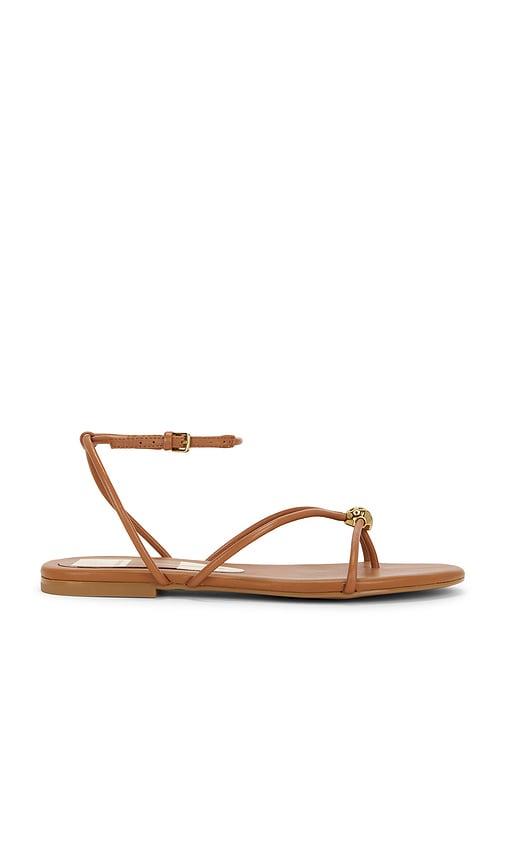 dolce vita kenley sandal in brown. - size 6.5 (also in 7, 9, 9.5)