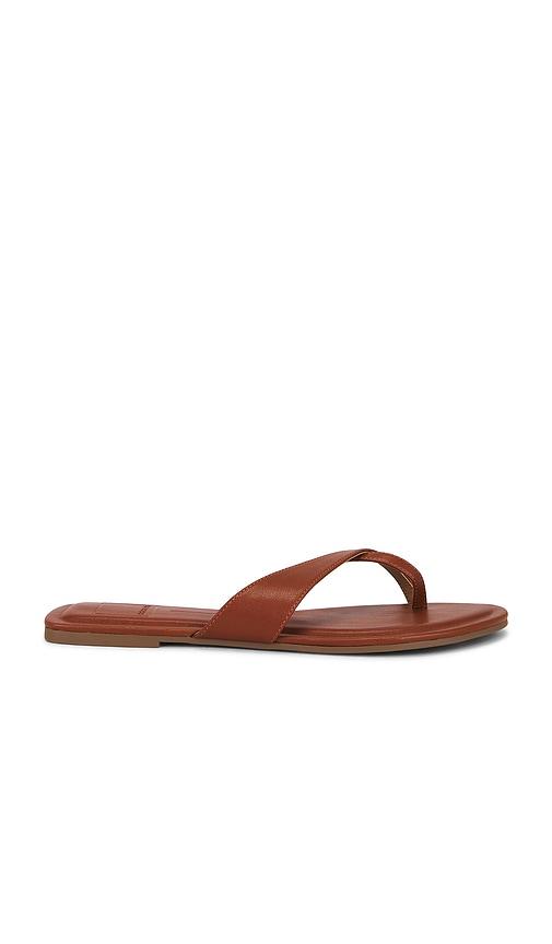 dolce vita lenex thong sandal in brown. - size 10 (also in 6, 6.5, 7, 7.5, 8, 8.5, 9, 9.5)