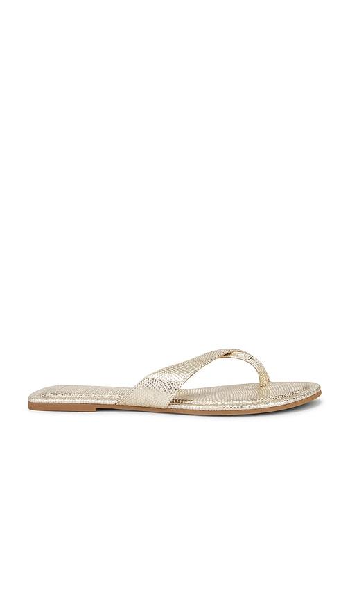 dolce vita lenex thong sandal in metallic gold. - size 10 (also in 6, 6.5, 7, 7.5, 8, 8.5, 9, 9.5)