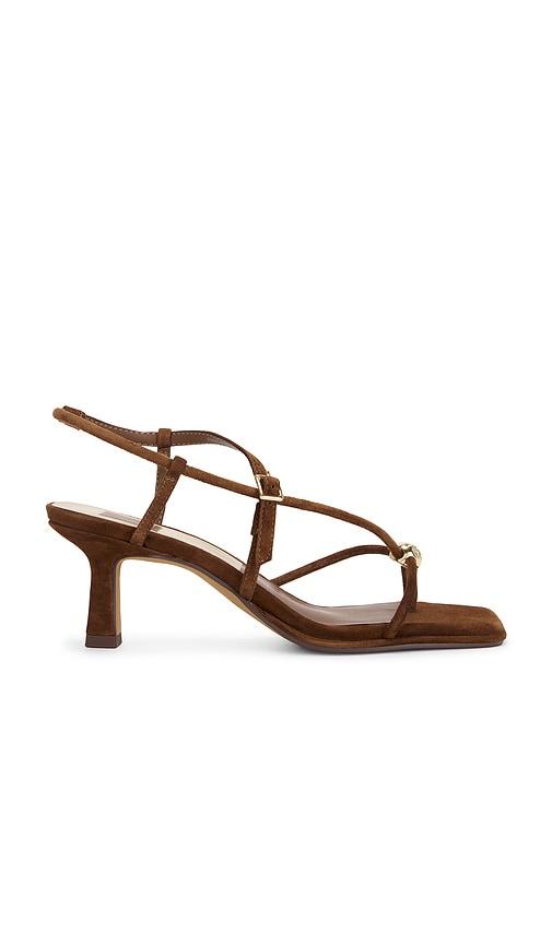 dolce vita mylee sandal in chestnut in brown. - size 10 (also in 6, 6.5, 7, 7.5, 8, 8.5, 9, 9.5)