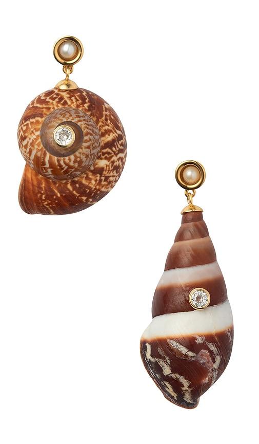 eliou caracol earrings in brown.
