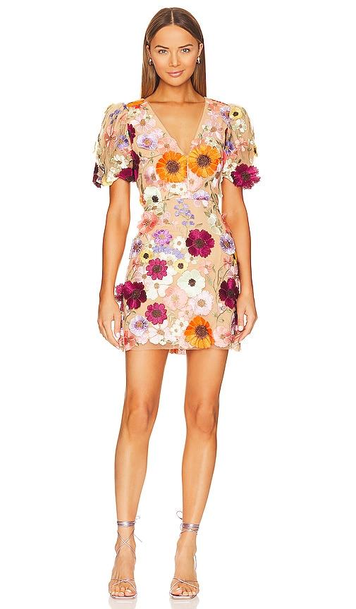 elliatt rosalind dress in multi. - size l (also in m, s, xs)