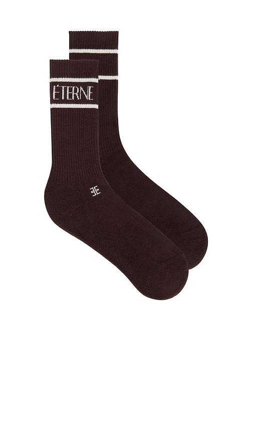 eterne cotton logo sport sock in brown.