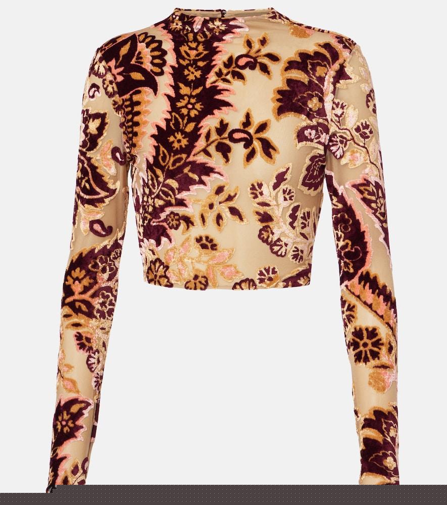 etro paisley tulle and velvet jacquard crop top