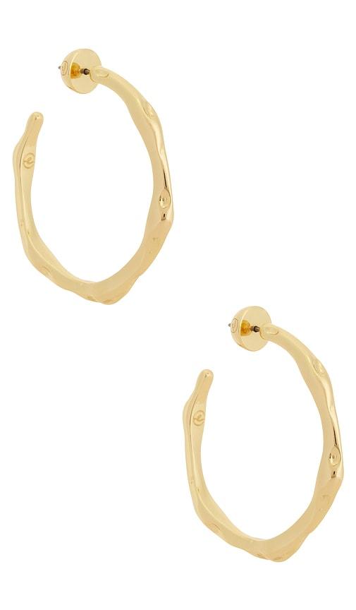 ettika classical wave hoops in metallic gold.