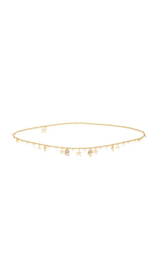 ettika coastal treasure belt in metallic gold.