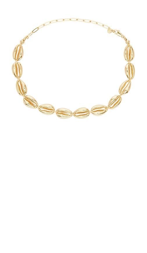 ettika cowrie plated necklace in metallic gold.