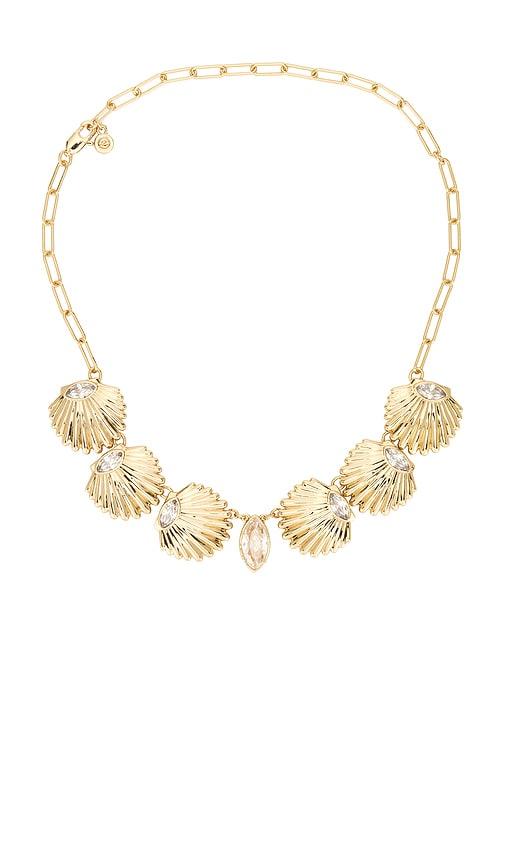 ettika scallop shell choker in metallic gold.