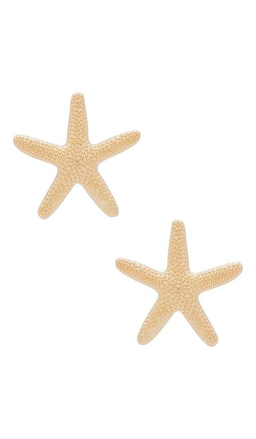 ettika starfish earring in metallic gold.