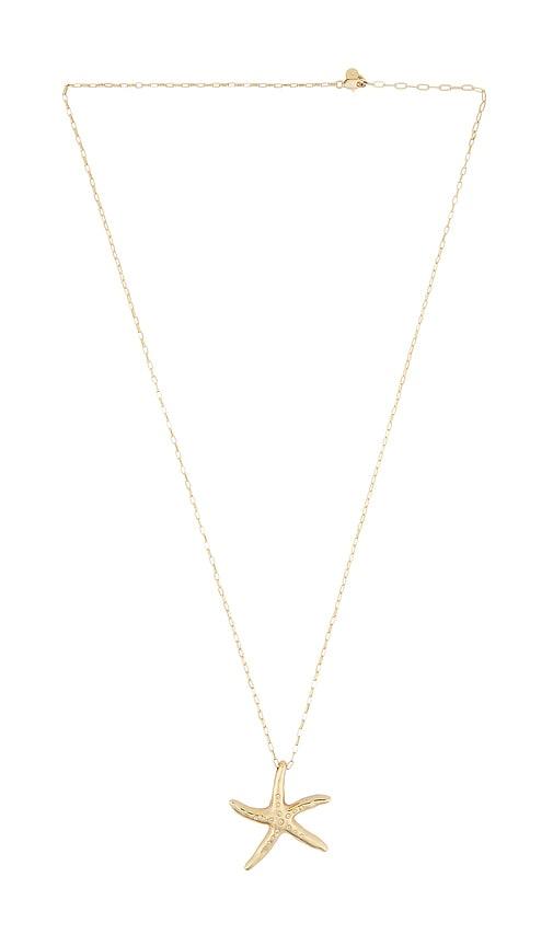 ettika starfish link chain necklace in metallic gold.