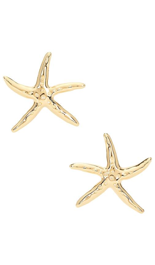ettika starfish luxe earrings in metallic gold.