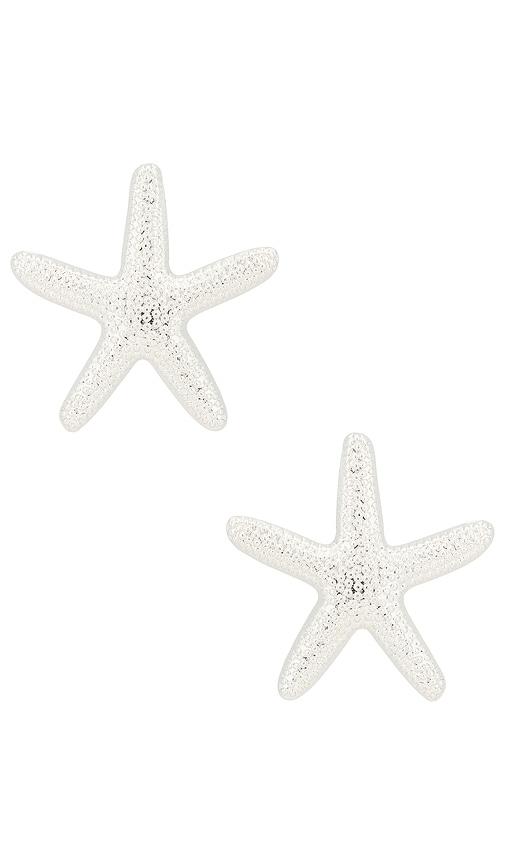 ettika statement starfish stud earrings in metallic silver.