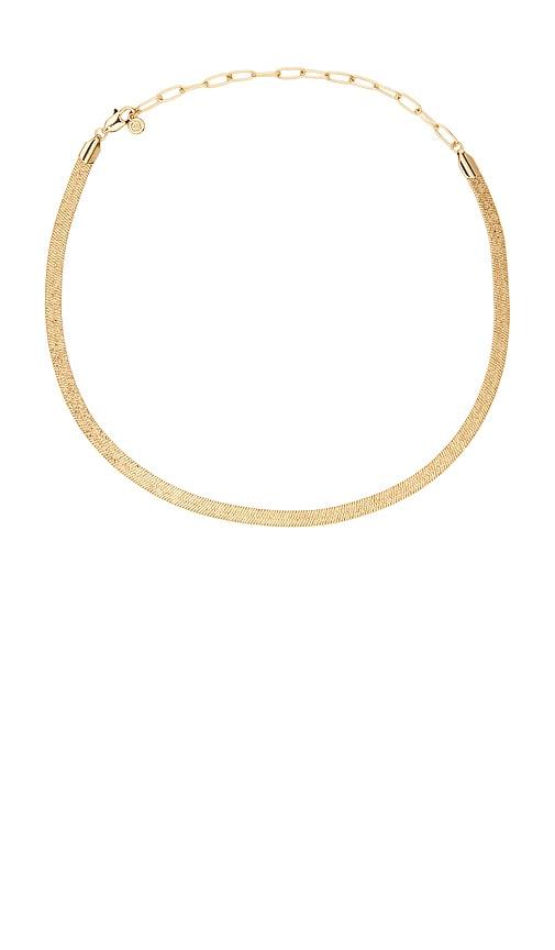 ettika textured flat chain necklace in metallic gold.