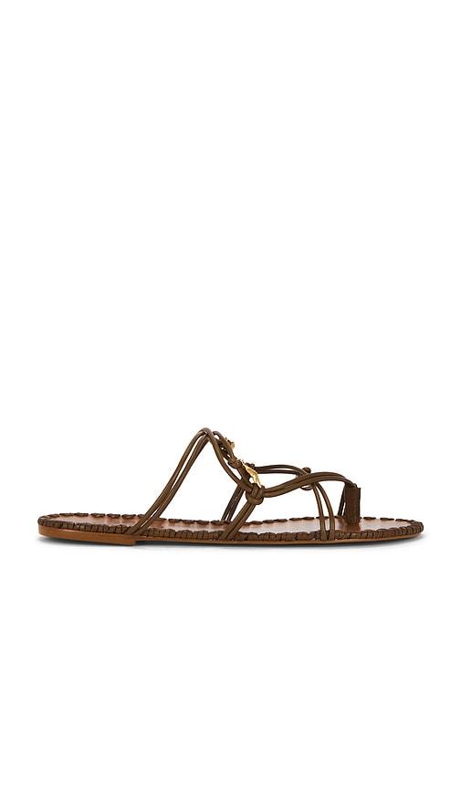 farm rio sea flat sandal in brown. - size 10 (also in 6, 6.5, 7, 7.5, 8, 8.5, 9, 9.5)