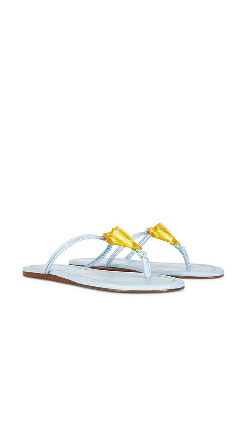 farm rio shell flat sandal in metallic gold. - size 10 (also in 6, 6.5, 7, 7.5, 8, 8.5, 9)