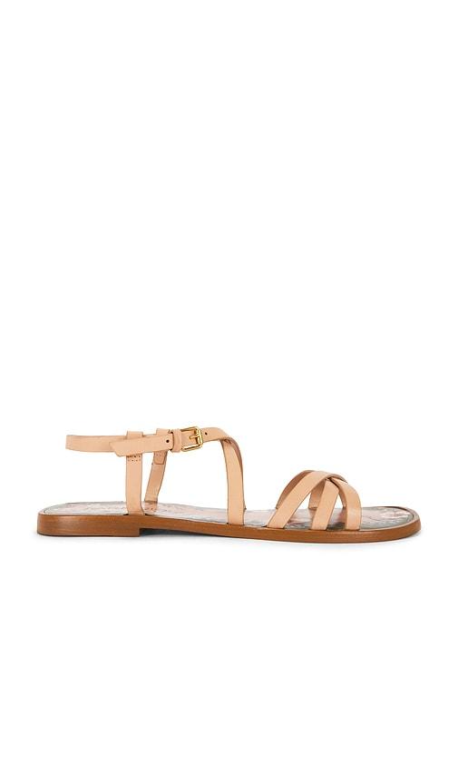 farm rio spring flat sandal in blush. - size 6 (also in 7, 7.5, 8, 8.5, 9, 9.5)