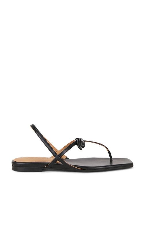 flattered sina sandal in black. - size 36 (also in 37, 38, 39, 40)