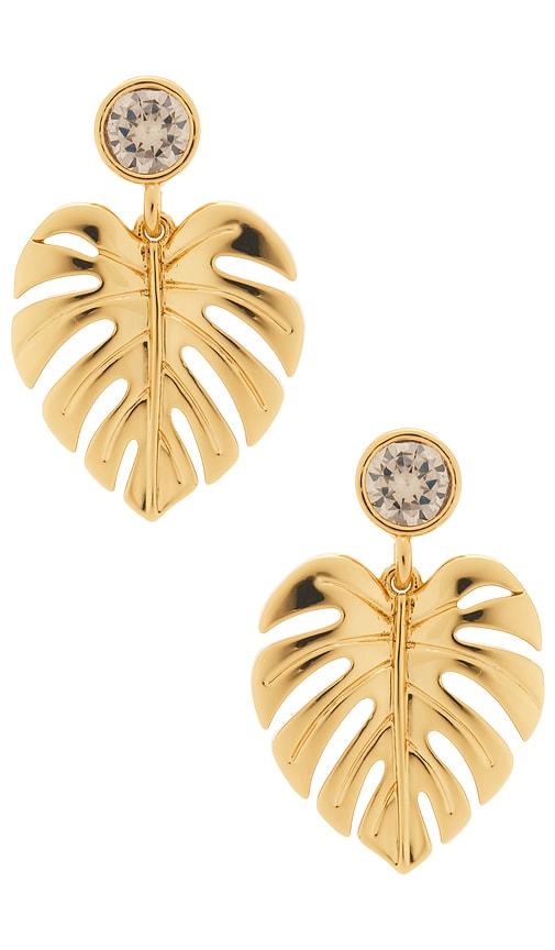 frasier sterling beverly earrings in metallic gold.