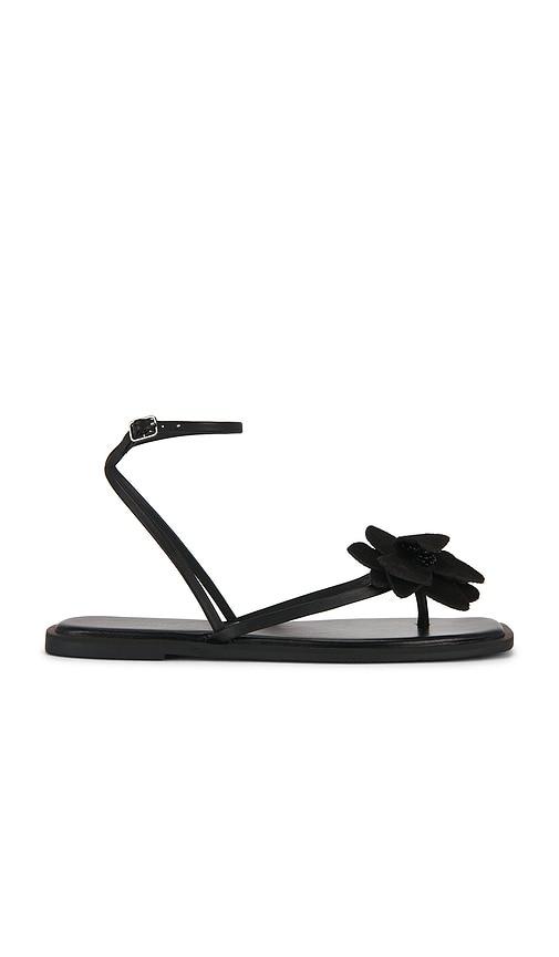 free people mismatch magnolia sandal in black. - size 11 (also in 7, 7.5, 8, 8.5, 9.5, 9)