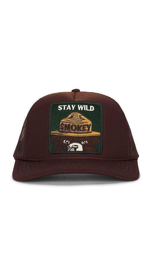 friday feelin stay wild hat in brown.