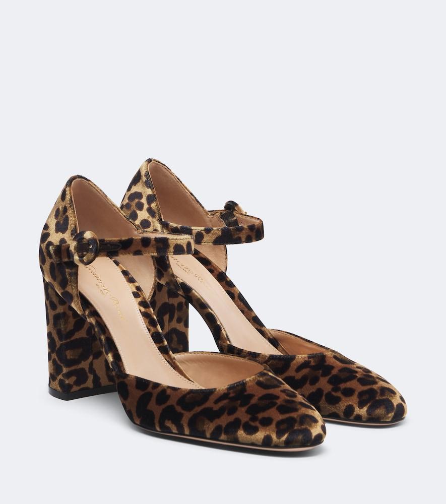 gianvito rossi leopard-print velvet pumps