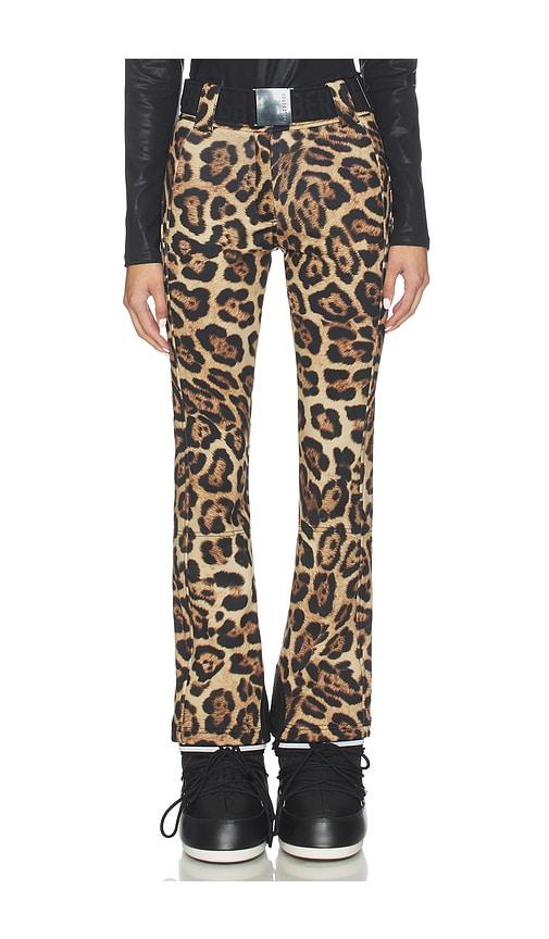 goldbergh minou ski pant in brown. - size 34 (also in 36, 38)