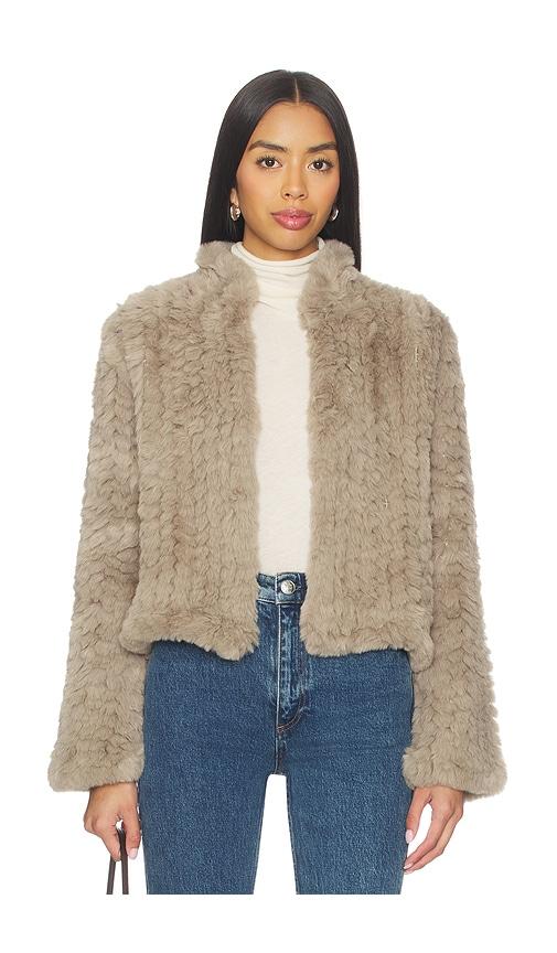 heartloom deline jacket in tan. - size l (also in xs, s, xl)