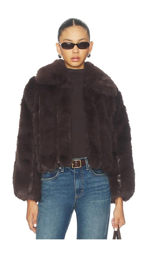 heartloom lana jacket in brown. - size l (also in xl)