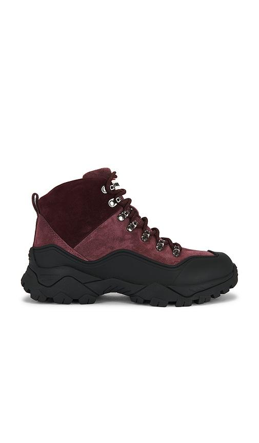 hunter jasper boot in wine. - size 6 (also in 7)