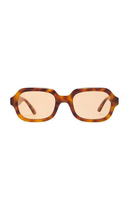 jimmy fairly freja sunglasses in brown.