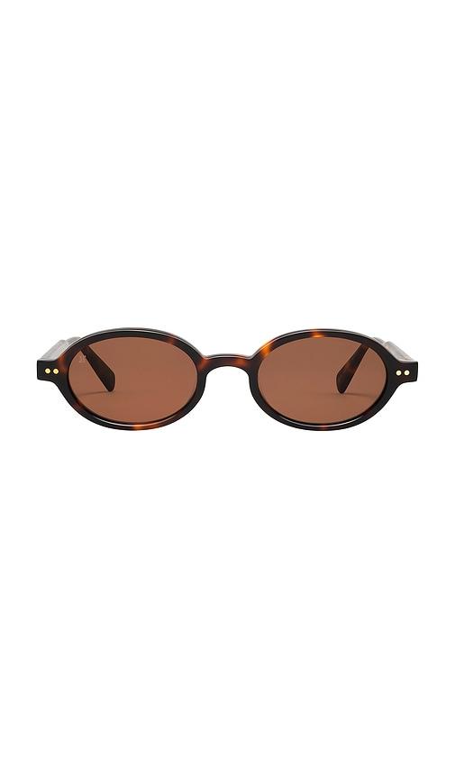 jimmy fairly the elvie sunglasses in multi.