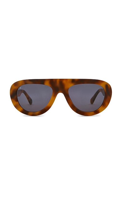 jimmy fairly the gabrie sunglasses in brown.