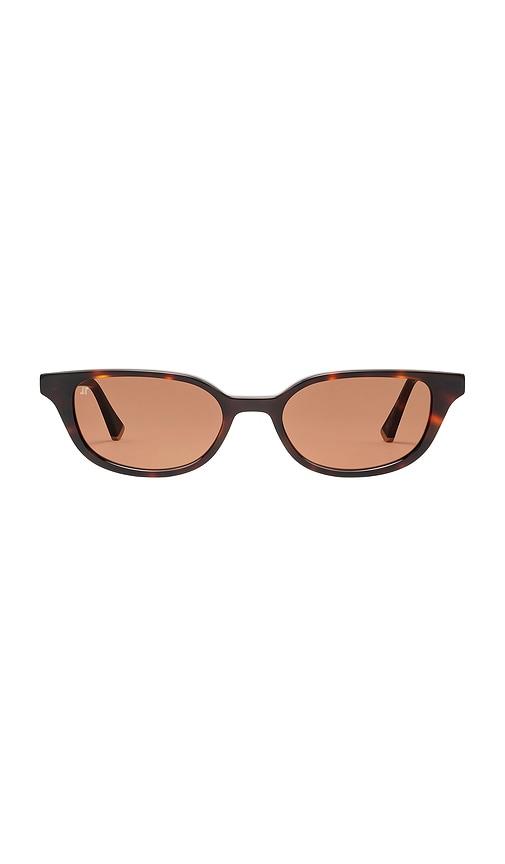 jimmy fairly the pippa sunglasses in multi.