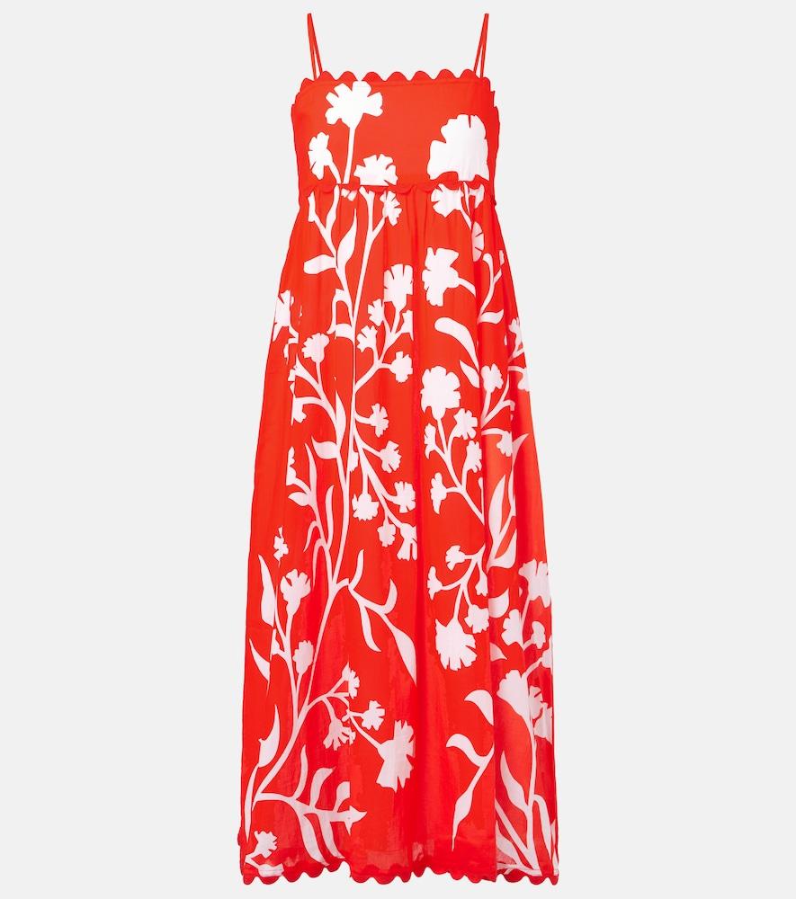 juliet dunn printed scalloped cotton midi dress