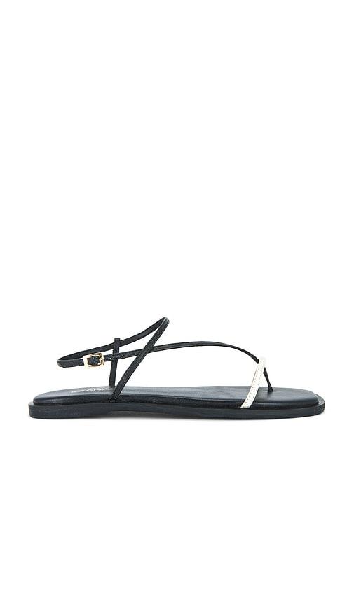 kaanas alayta square toe sandal in black. - size 6 (also in 8, 9)