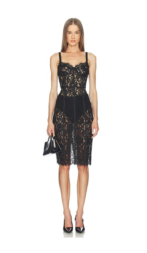 l'agence jennifer lace bustier midi dress in black. - size 2 (also in 6, 8)