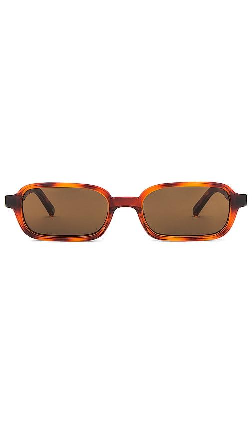 le specs pilferer in brown.