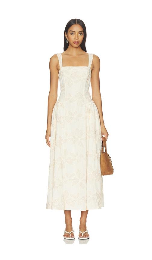 line & dot lilianna dress in neutral. - size l (also in s, xs, m)
