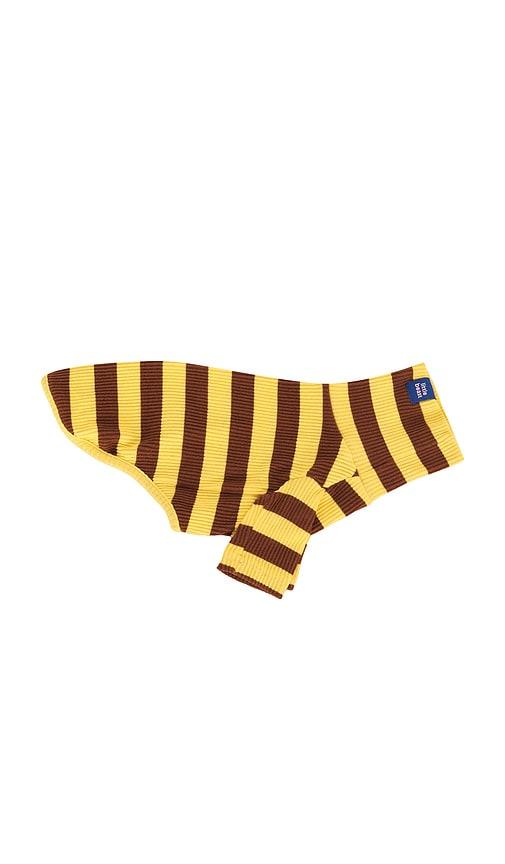 little beast striped shirt in yellow,brown. - size xl (also in xxl)