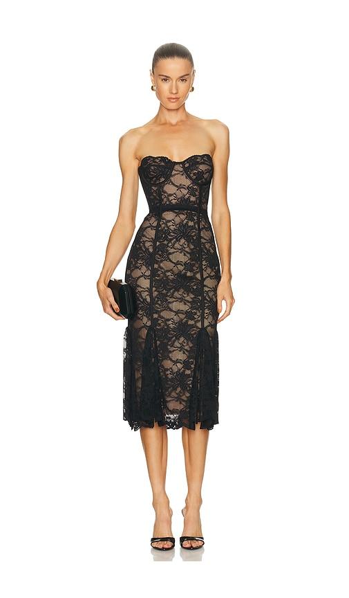 loba lucienne lace midi dress in black. - size l (also in s, xxs, xs)