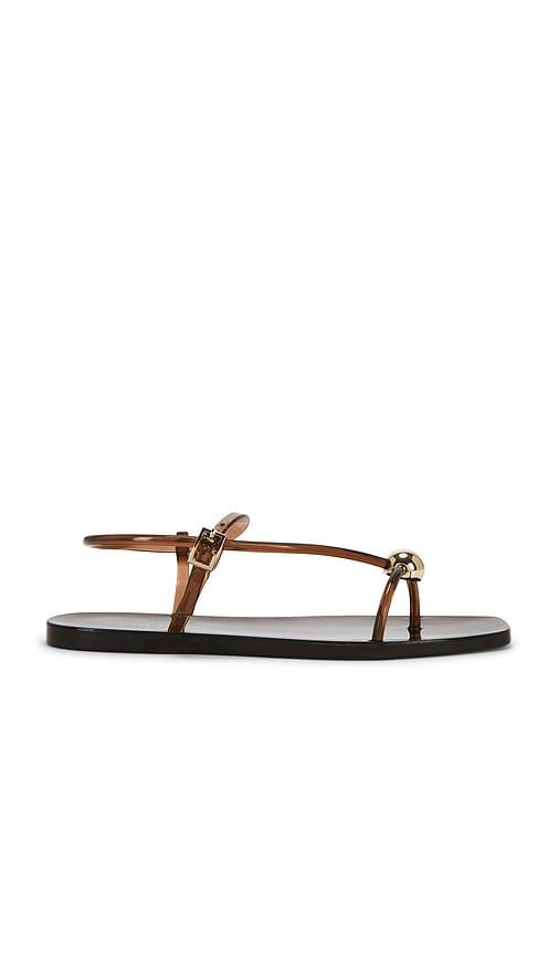loeffler randall dana strappy jelly sandal in brown. - size 10 (also in 6, 7, 8, 9)
