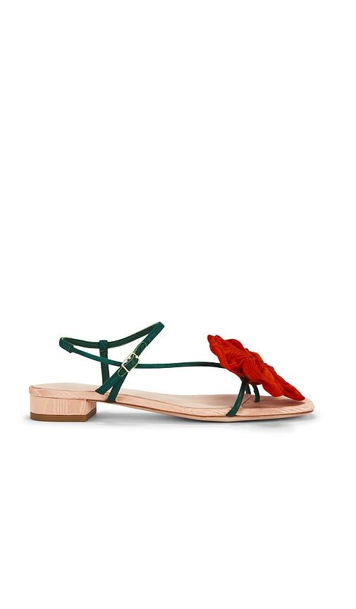 loeffler randall genevieve flower applique flat sandal in red,green. - size 6 (also in 6.5, 8)