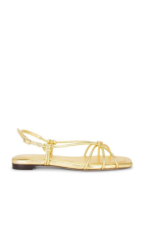 loeffler randall karly strappy flat sandal in metallic gold. - size 10 (also in 6, 7, 7.5, 8, 8.5)