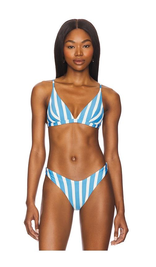maaji ivy bikini top in blue. - size l (also in xs)