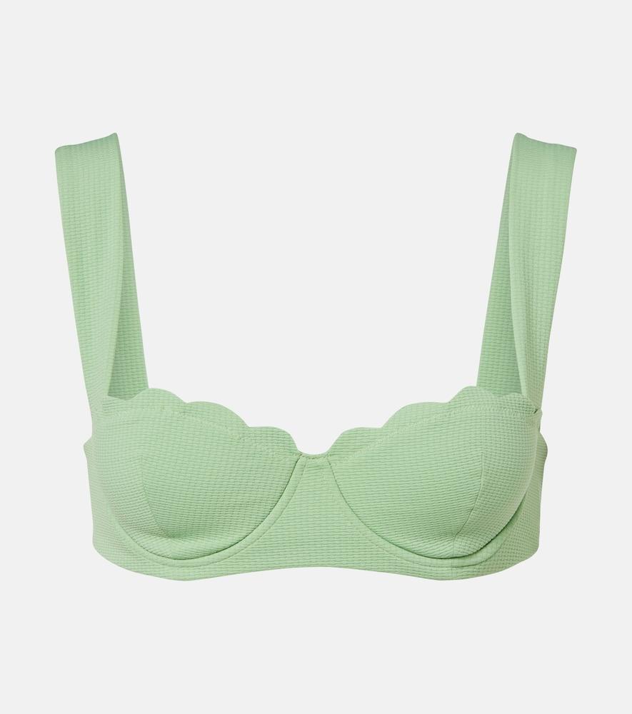 marysia north scalloped bikini top
